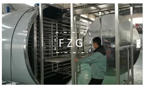 寵物食品凍干機 三文魚與雞蛋凍干工藝流程詳解